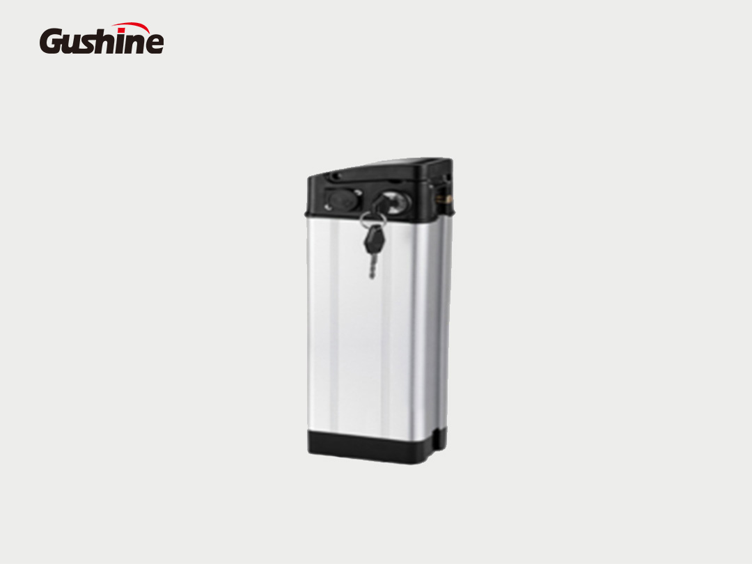 Two-wheeler/E-bike lithium battery pack