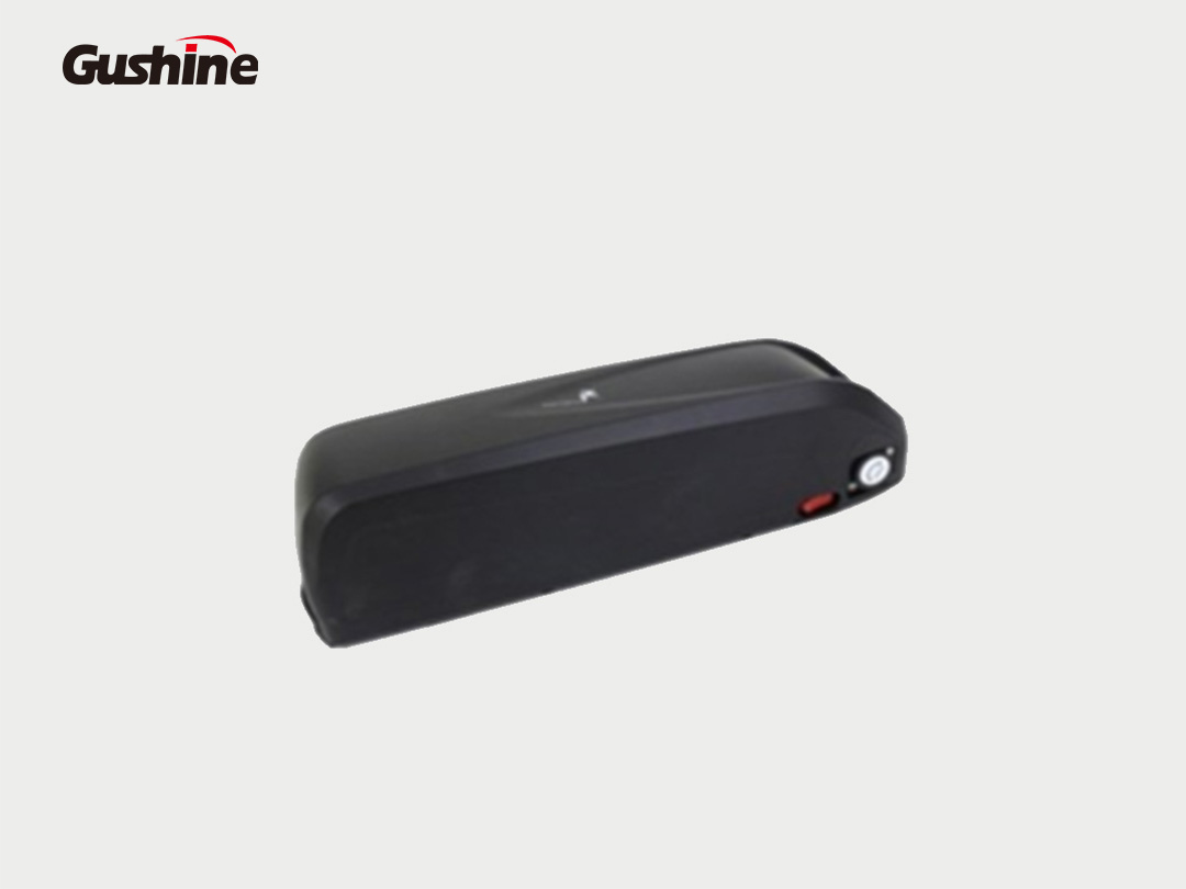 Two-wheeler/E-bike lithium battery pack