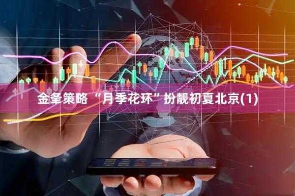 金夆策略 “月季花环”扮靓初夏北京(1)