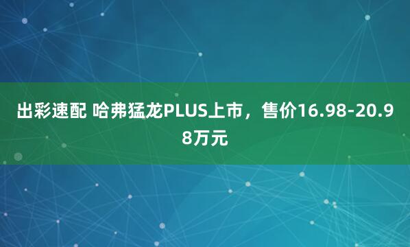 出彩速配 哈弗猛龙PLUS上市，售价16.98-20.98万元