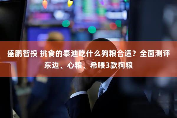 盛鹏智投 挑食的泰迪吃什么狗粮合适？全面测评东边、心粮、希喂3款狗粮