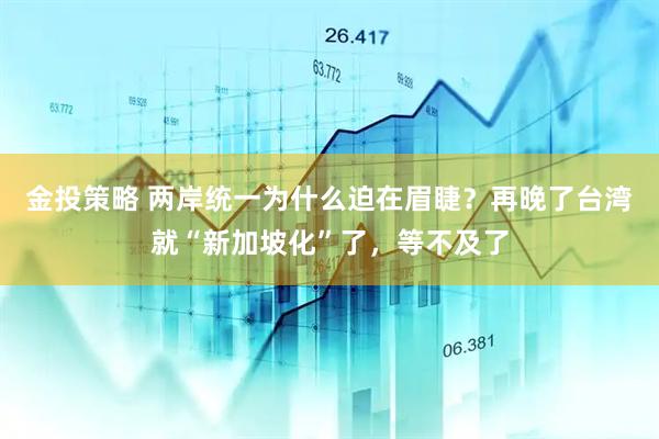 金投策略 两岸统一为什么迫在眉睫？再晚了台湾就“新加坡化”了，等不及了